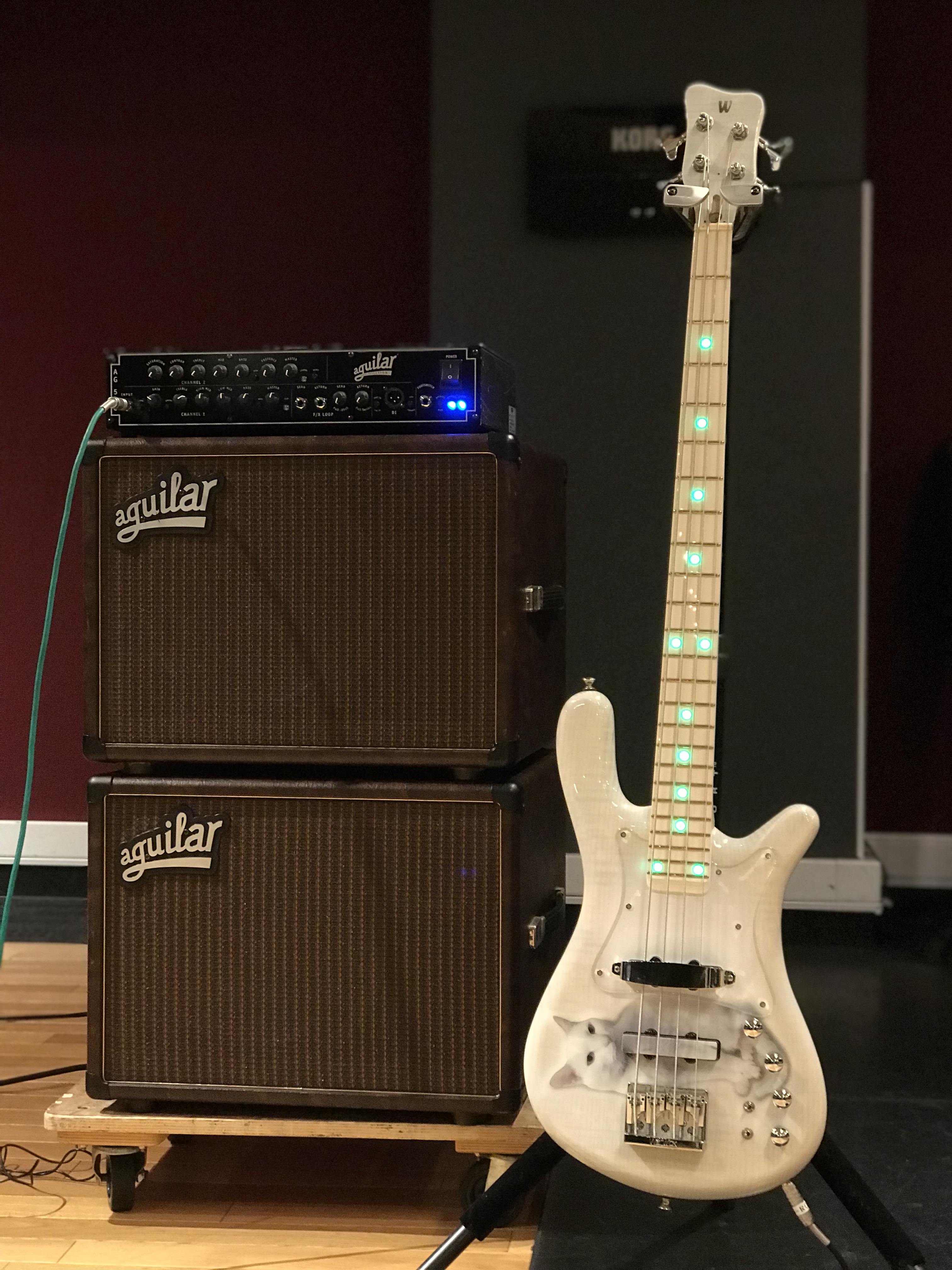 Warwick Streamer LX TAMA Custom